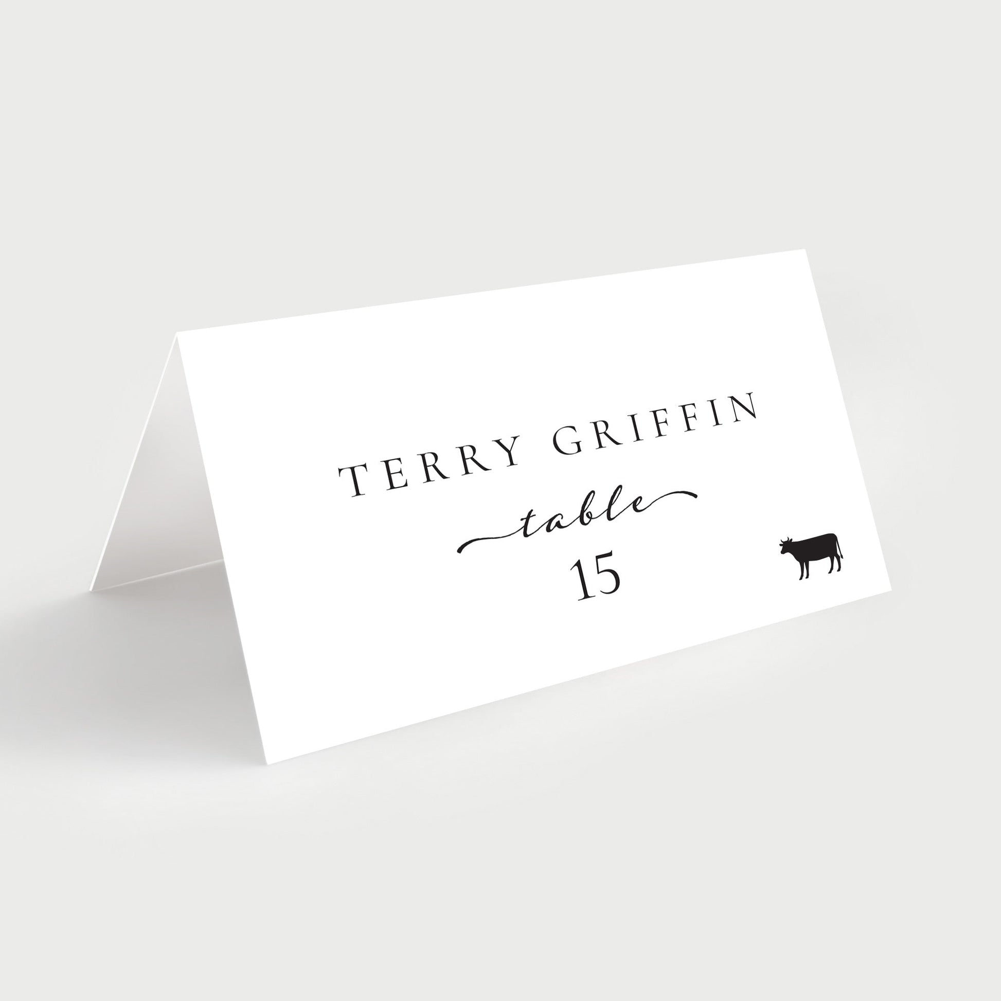 Folded Name Place Cards Personalized